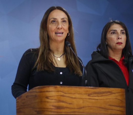 Cecilia Pérez integrará el directorio de Azul Azul